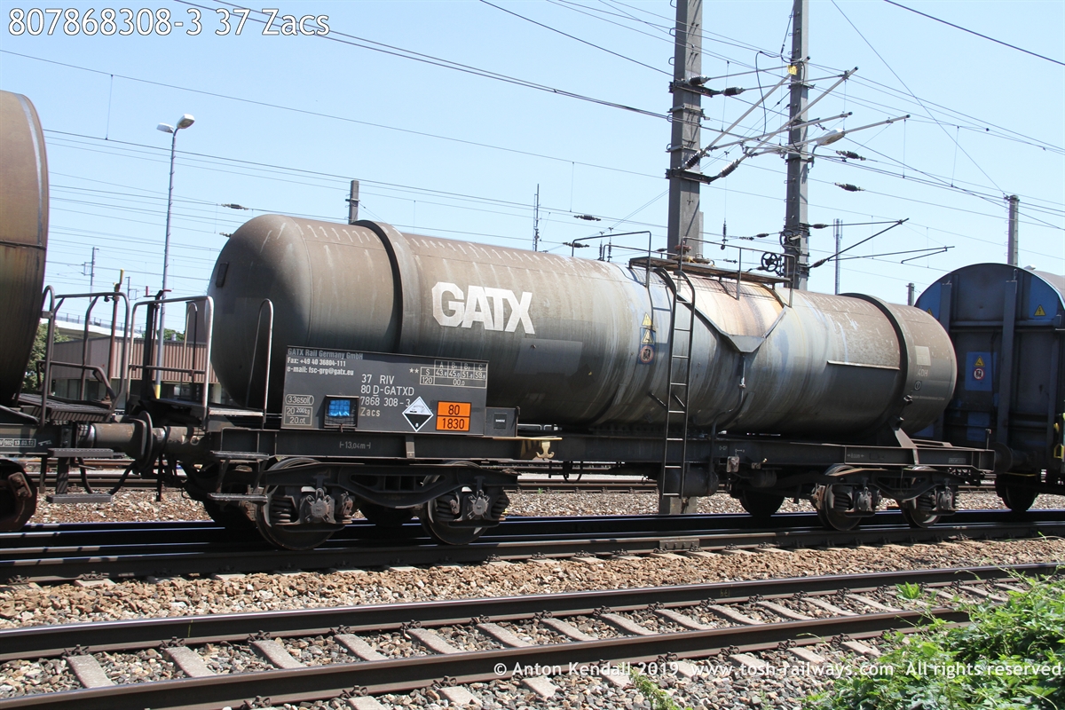 807868308-3_37 Zacs.JPG